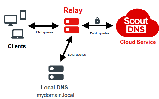 DNS query flow with the ScoutDNS Relay