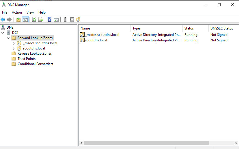 Windows DNS Manager showing forward lookup zones