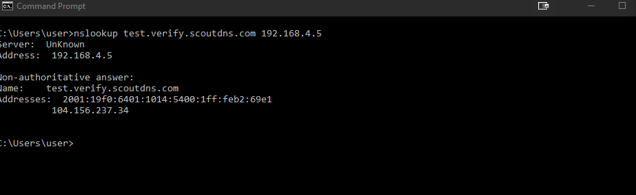 Public DNS test via nslookup