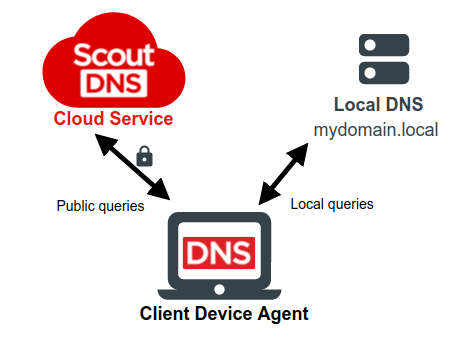 DNS query flow with the Device Agent