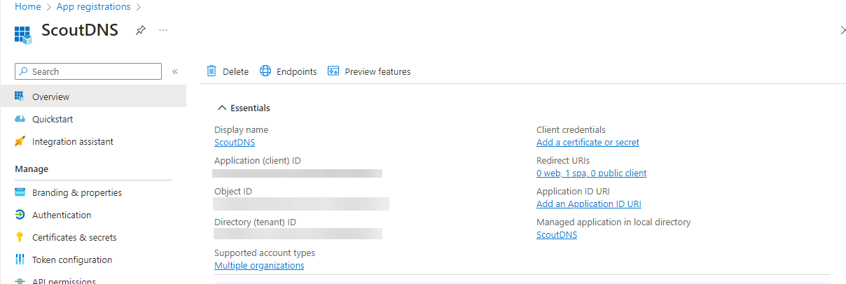 Client ID and Tenant ID fields in ScoutDNS SSO